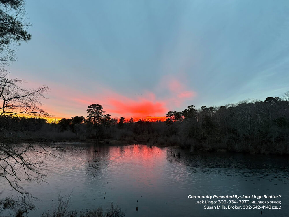 296_fp-ingrams-pond-sunset Fisher’s Point - Jack Lingo REALTOR 296_fp-ingrams-pond-sunset Fisher’s Point - Jack Lingo REALTOR