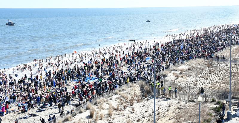 polar_plunge_cape_gazette News - Jack Lingo REALTOR - Results from #150
