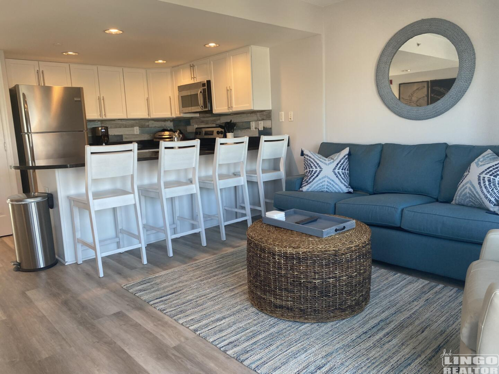 s302+the+opal+living+and+kitchen  Coastal Delaware Residential Communities - Jack Lingo REALTOR