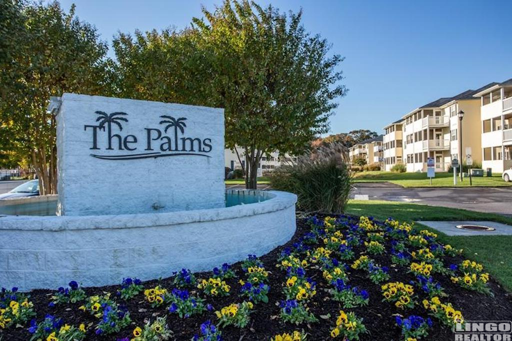 palmextt Rentals Results - Results from #408