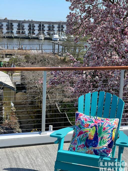 Roof+Deck+2 223 Second Street Rental Property Roof+Deck+2 223 Second Street Rental Property