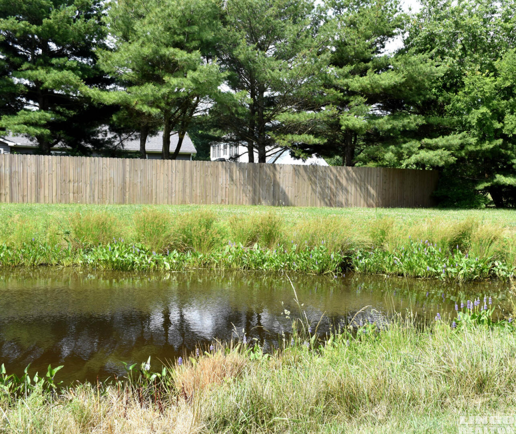 20 34363 Summerlyn Drive #205 Rental Property 20 34363 Summerlyn Drive #205 Rental Property